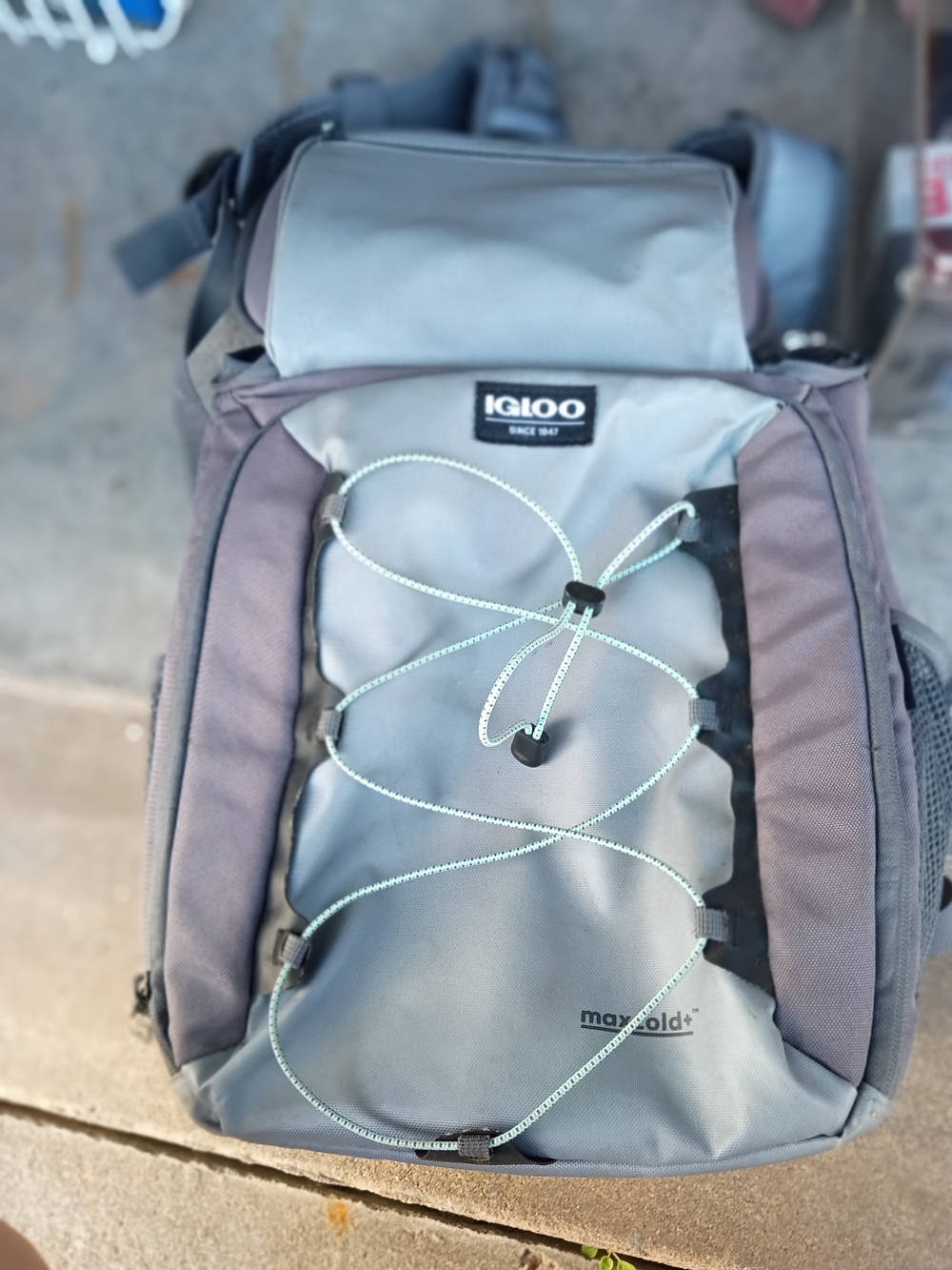 Igloo Men's Gray Backpack with Bungee Cord